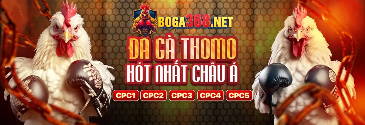 Đội ngũ hỗ trợ khách hàng chuyên nghiệp của vin55