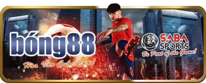 Giới thiệu tổng quan về các quy định pháp lý của vin55